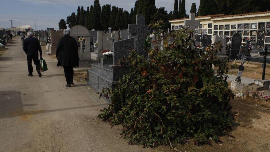 GALERÍA: Menor afluencia de zamoranos al cementerio de San Atilano