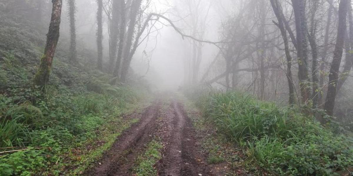 ¿Nuevo vigués? Así se hacen amigos