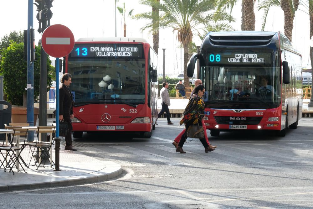 Autobuses contra la violencia machista en Alicante