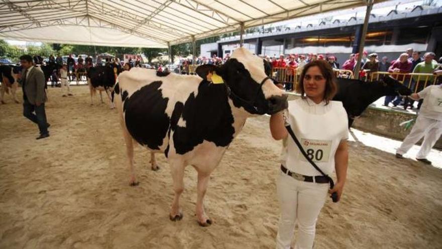 La vaca Mandarina, con su manejadora, fue elegida Gran Campeona Feiradeza.  // Bernabé/Gutier