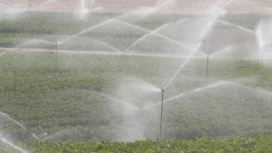 UPA reclama la ampliación de la zona regable del Genil-Cabra para afrontar los cambios climáticos