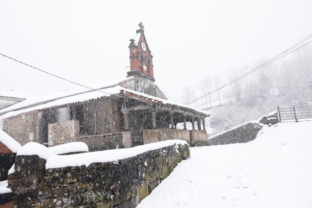 Temporal de nieve en Viego (Ponga)