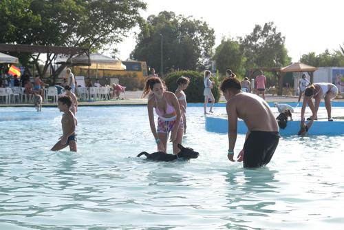 Así es la nueva piscina para perros que ha abierto en La Marina