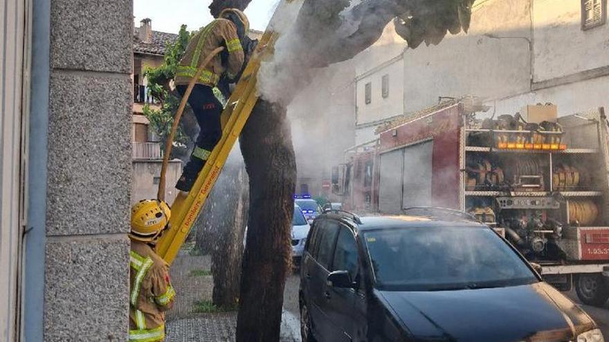Ensurt per un arbre cremant a prop de vehicles estacionats i edificis a Gironella