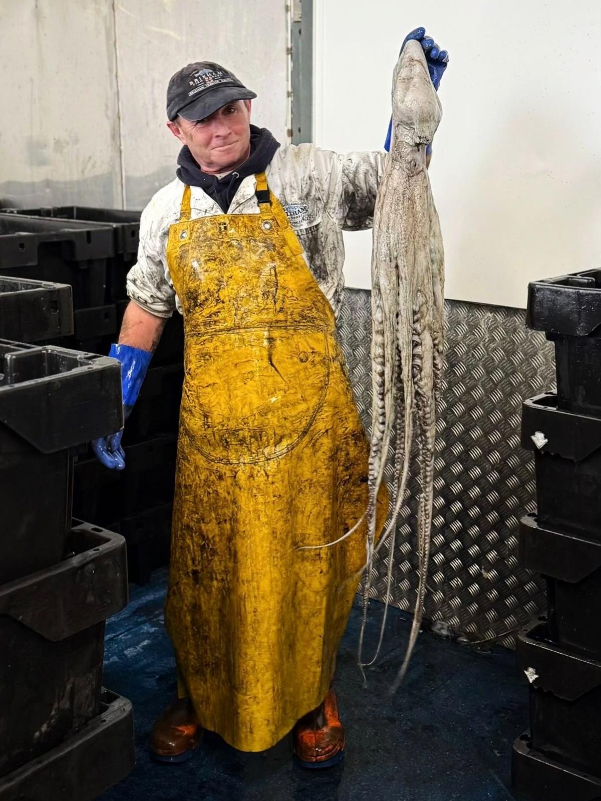 Un pescador sosteniendo un pulpo en Brixham
