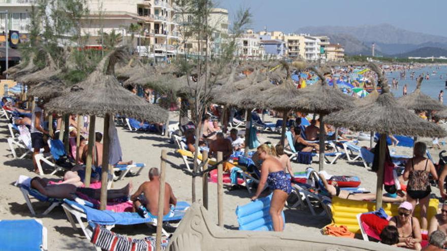 Saison in Can Picafort: vor lauter Liegen und Schirmen den Strand nicht mehr sehen?