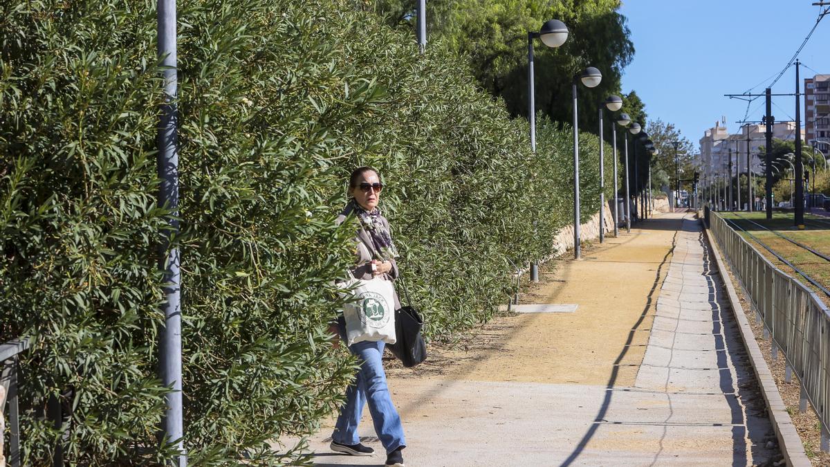 Una mujer, junto a unas plantas sin podar del parque de la avenida de la Goleta.