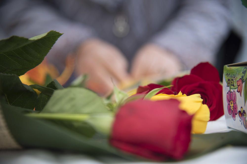 Diada de Sant Jordi a Manresa