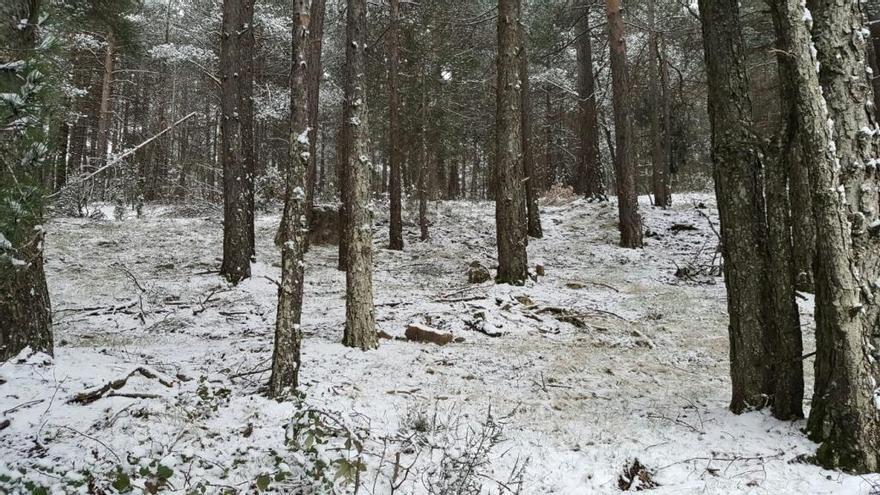 Nieve en el Penyagolosa este viernes. Foto: C. S.