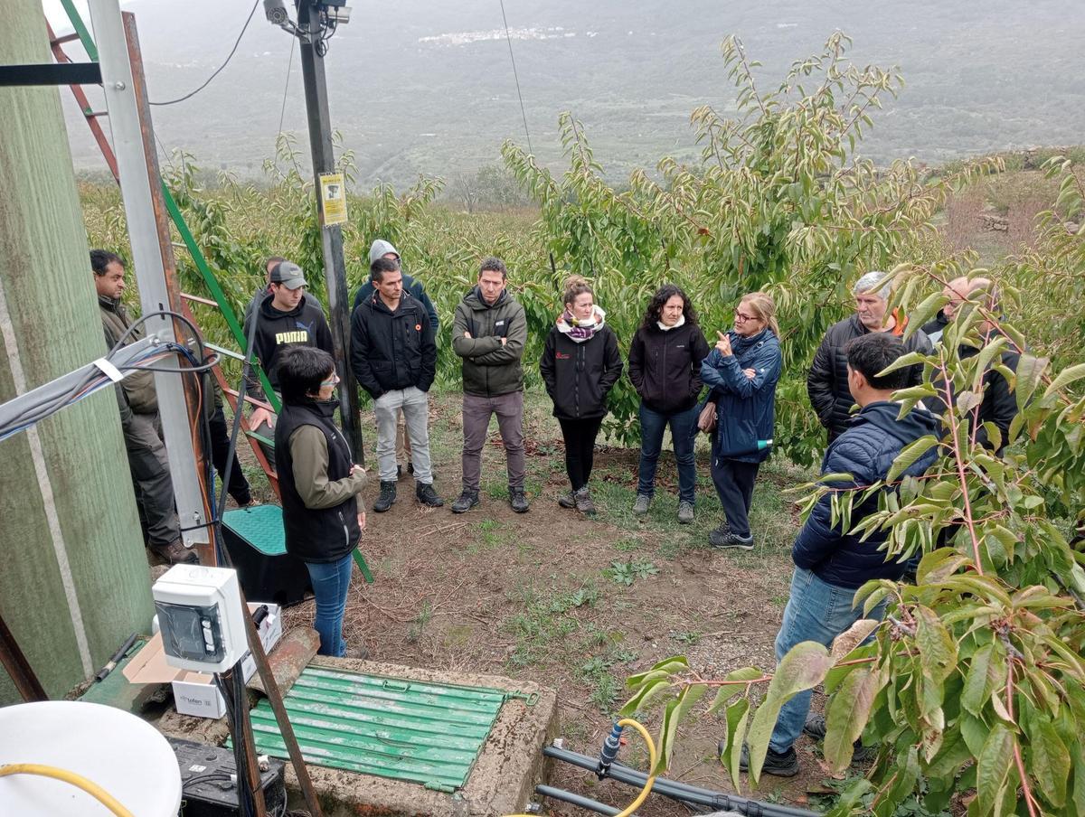 Técnicos, agricultores y representantes del sector conocen sobre el terreno los sistemas de riego y monitorización probados por CICYTEX en el Valle del Jerte.