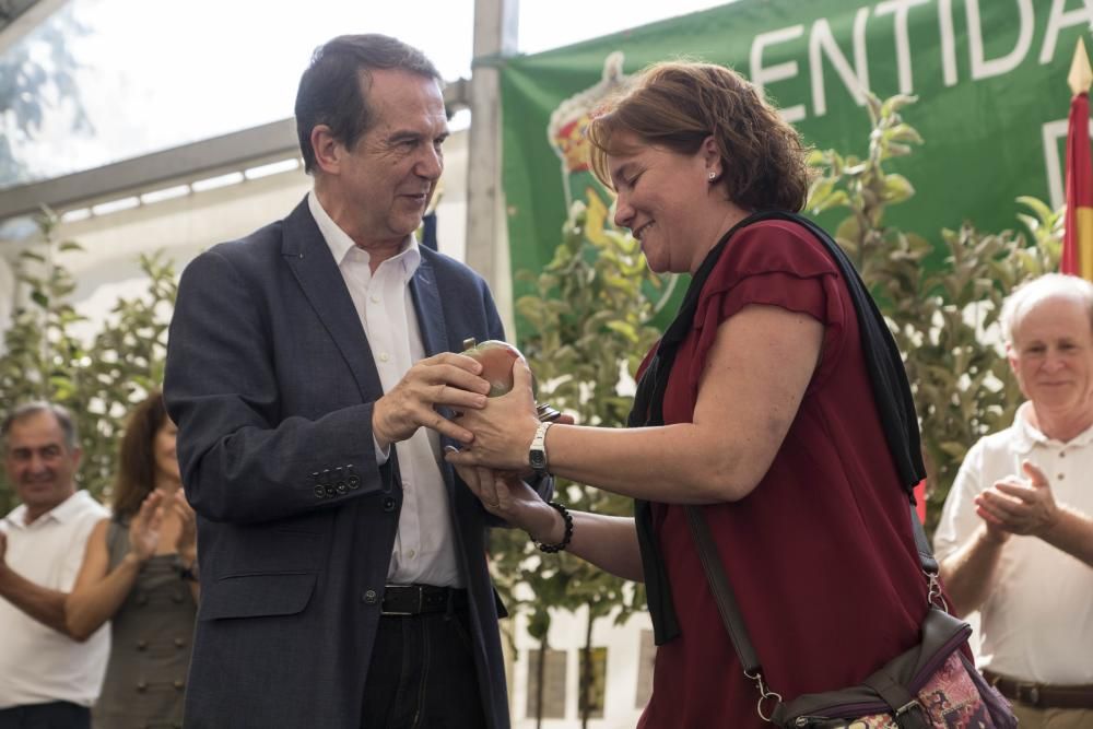 La Festa da Sidra de la parroquia viguesa rompe todas la previsiones, con más de 5.000 asistentes, 1.200 litros del brebaje despachados y 6.000 botellas vendidas. El ANPA Bene Vivere, manzana de oro.