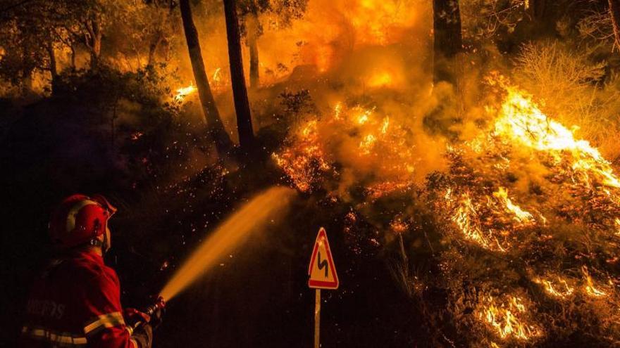 Bomberos intentan combatir el fuego.