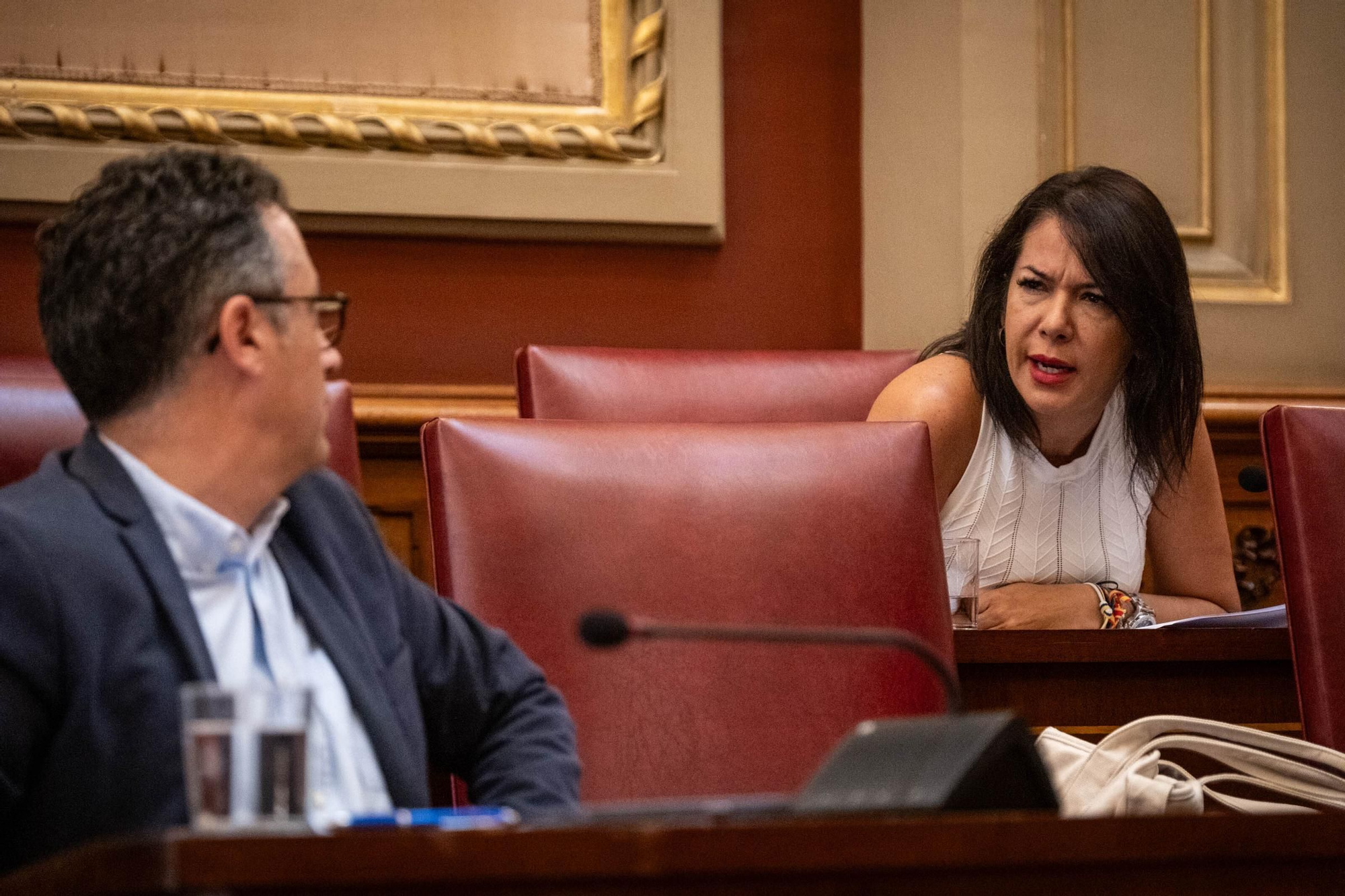 Comisión de control del Ayuntamiento de Santa Cruz de Tenerife