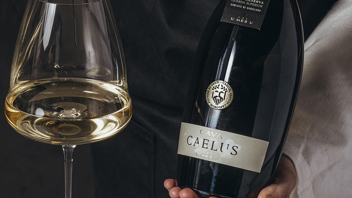 Caelus, nuevo cava gran reserva 100% pinot noir