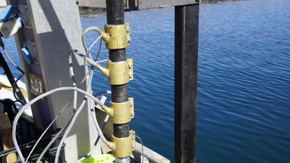 Proyecto Reseacle en el Muelle Deportivo de Las Palmas de Gran Canaria