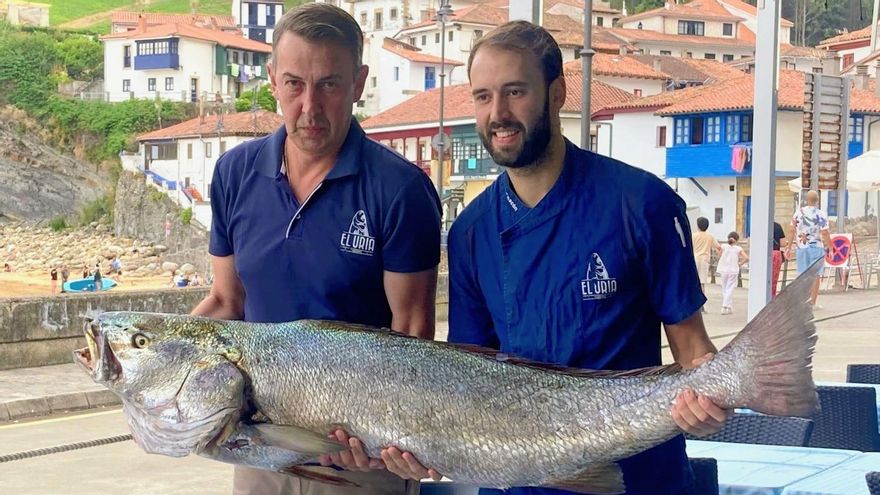 La &quot;reina de los mares&quot; sale gigante en Tazones: &quot;No había visto una tan enorme en mi vida&quot;
