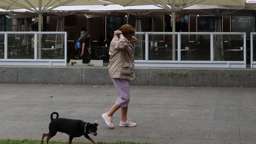 El Colegio de Veterinarios alerta sobre la prevalencia de la leishmaniosis en Galicia