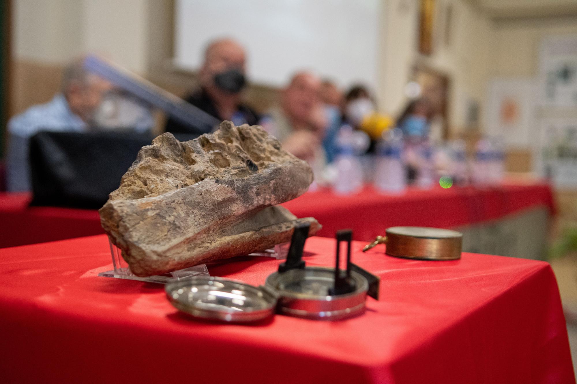 Presentación de una nueva especie de dinosaurio localizada en el término municipal de Portell. ANDREU ESTEBAN