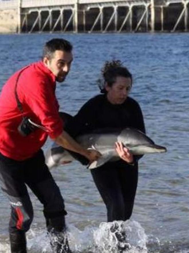 Una cría rescatada en 2012.