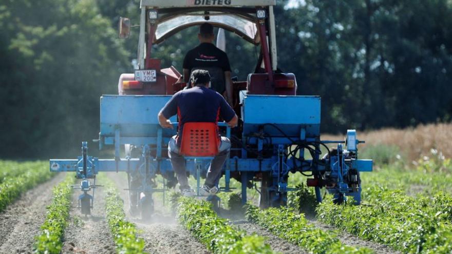 Abonen 3,4 milions d'euros a més de mil agricultors gironins en ajudes per comprar fertilitzants