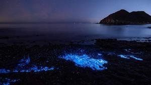 Bioluminiscencia en Murcia