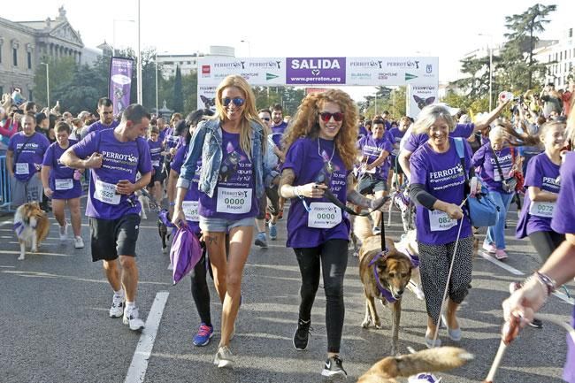 Línea de salida de la sexta carrera Perrotón Madrid