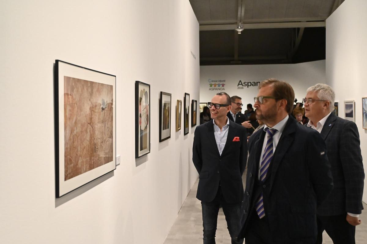 El director general de Cultura, Pedro Olloqui (izda) contempla la obra de Rafael Navarro, la más cara de la exposición.