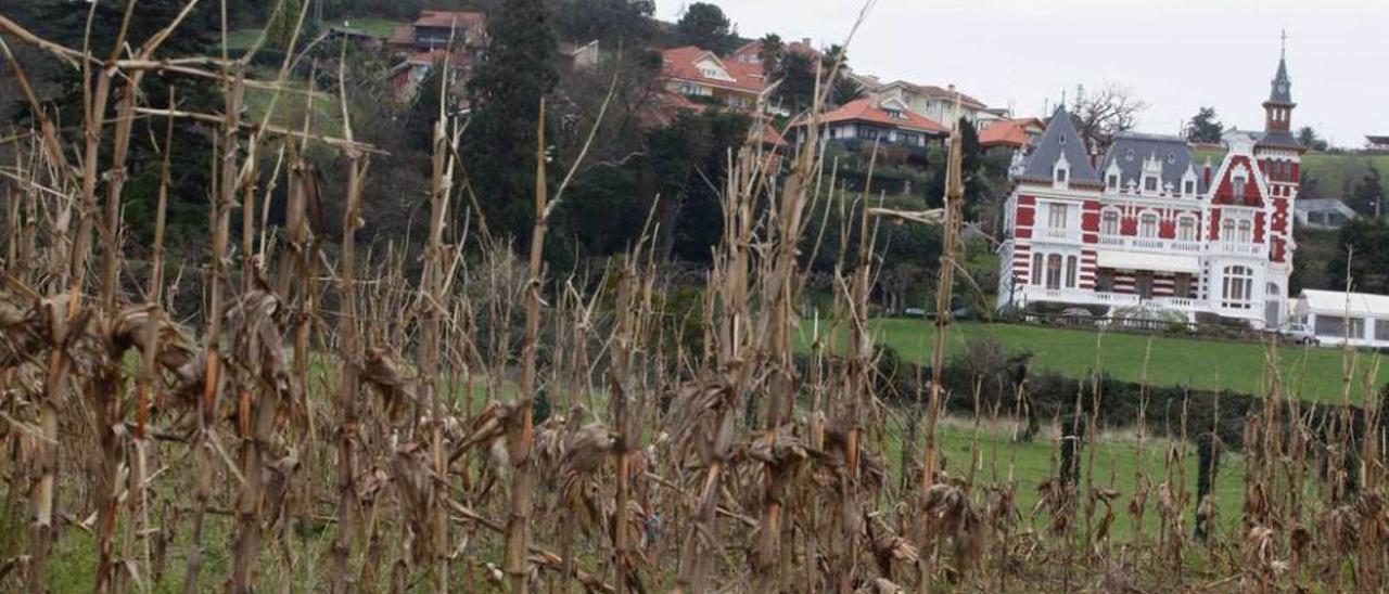 Palacete y finca Bauer. ángel gonzález