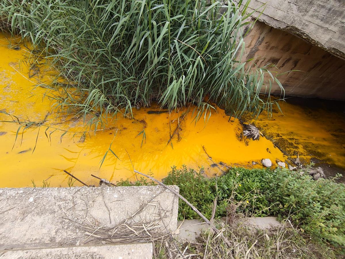 El cauce que vierte en el Barxeta apareció teñido de naranja y con un fuerte hedor, según advirtió Xúquer Viu.