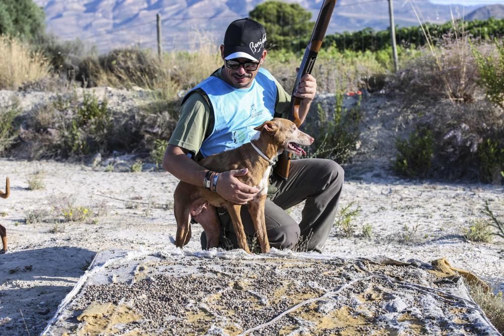 Diez mil cazadores inician la temporada de caza del conejo