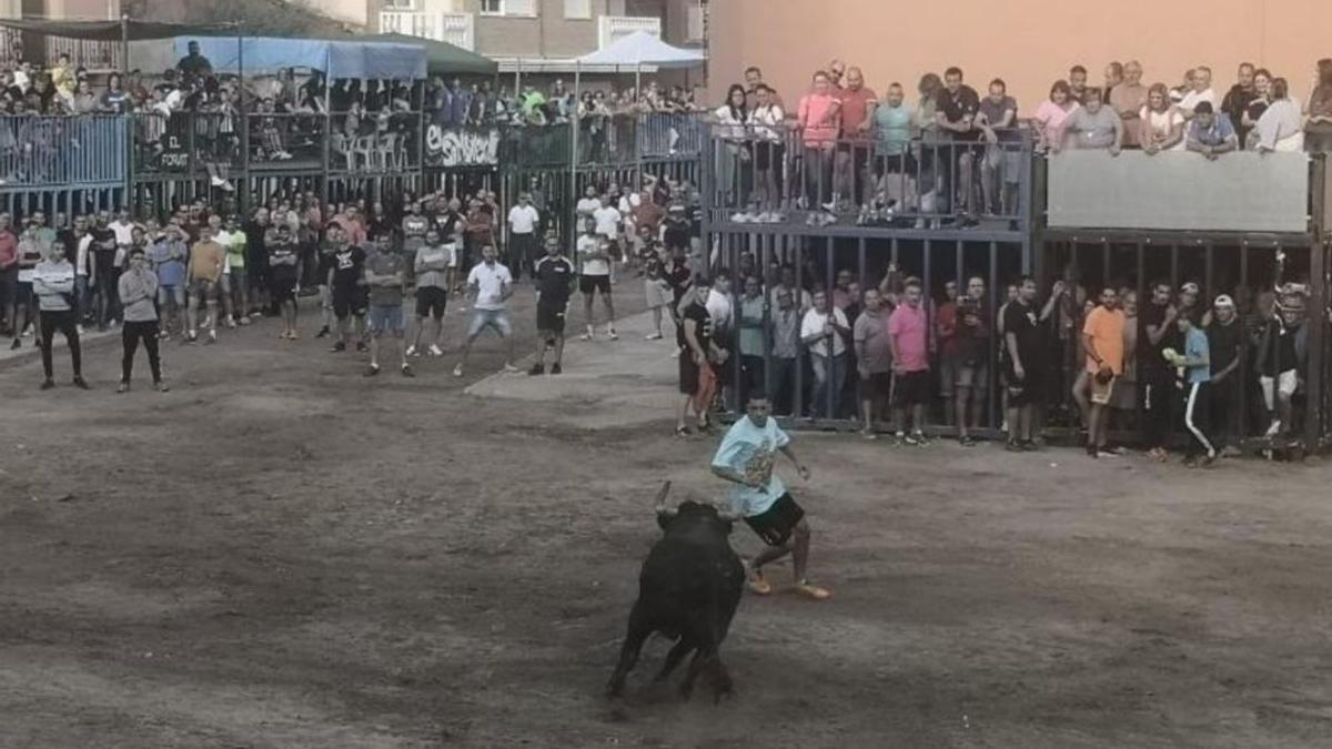 Los cadafals y la vila se llenaron para disfrutar de los toros exhibidos ayer. | M. Á. SÁNCHEZ
