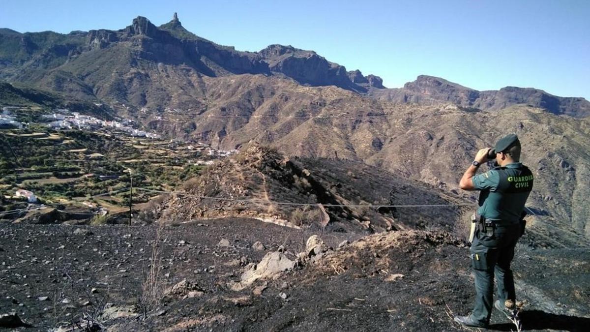 Un guardia civil observa parte de la superficie quemada por el fuego en Gran Canaria.