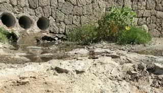 Sant Antoni tomó muestras de Caló des Moro el día después del vertido