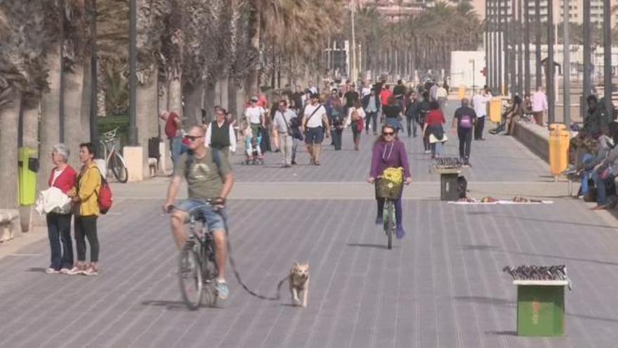 Valencia disfruta de temperaturas primaverales en febrero