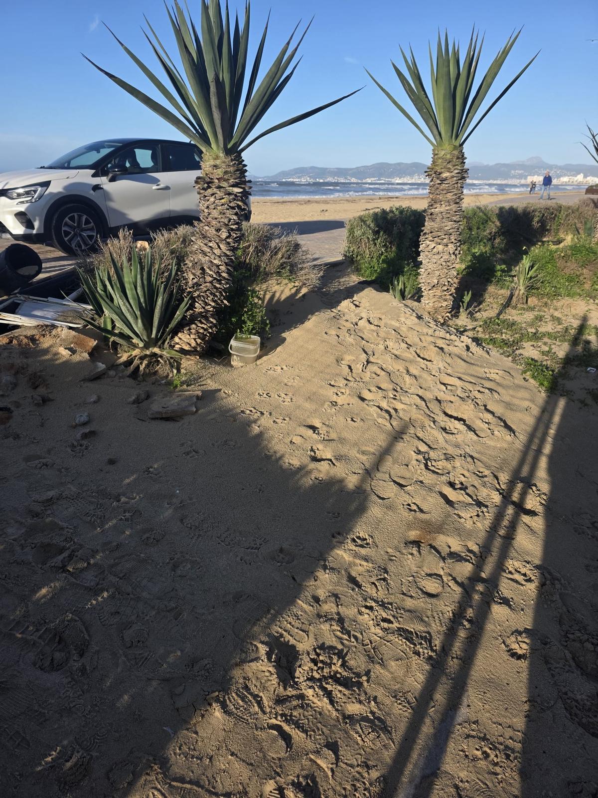La semana pasada el viento golpeó con fuerza la Platja de Palma.