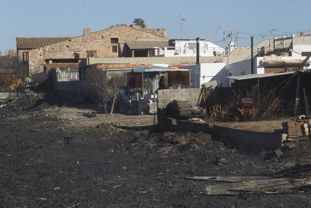 La Marjal dels Moros tras el incendio