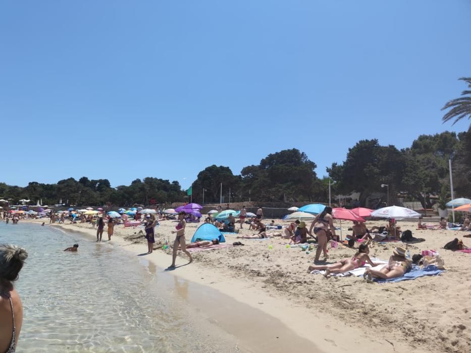 Multitud de bañistas en Cala Bassa