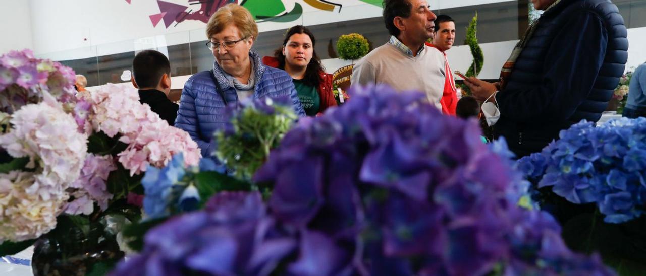 Ambiente, ayer al mediodía, tras la inauguración de la exposición de hortensias. | Mara Villamuza