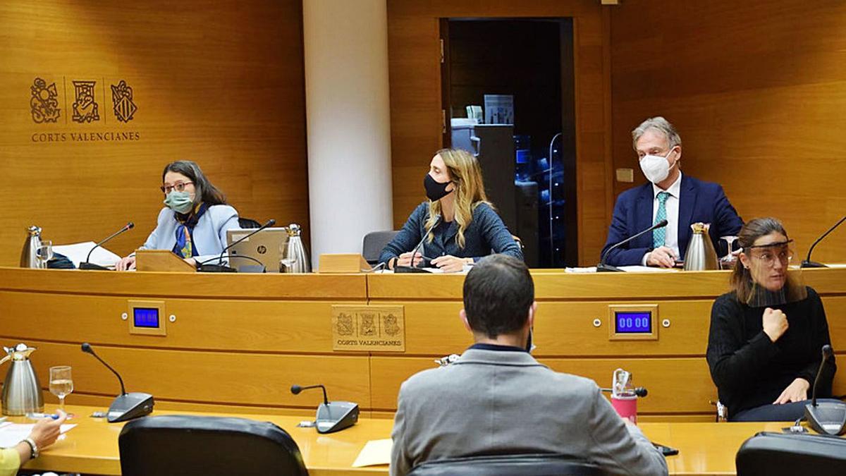 La vicepresidenta Oltra, a la izquierda, ayer durante la comisión de Política Social en Corts. | I.CABALLER