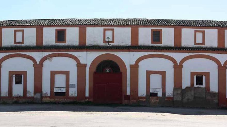 Adaptarán la plaza de toros de Trujillo para que aniden los cernícalos