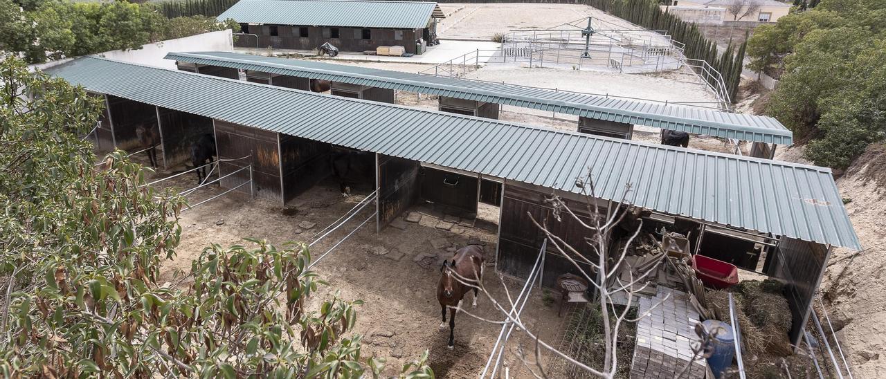 Polémica por un criadero de caballos en la periferia de Mutxamel