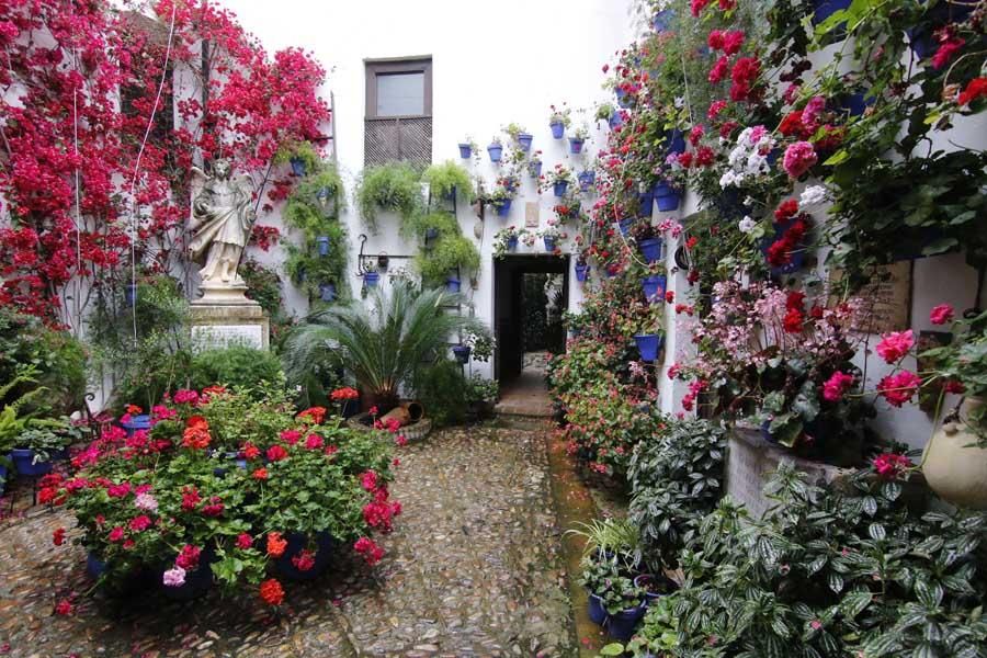 Los patios de Córdoba, San Lorenzo San Rafael