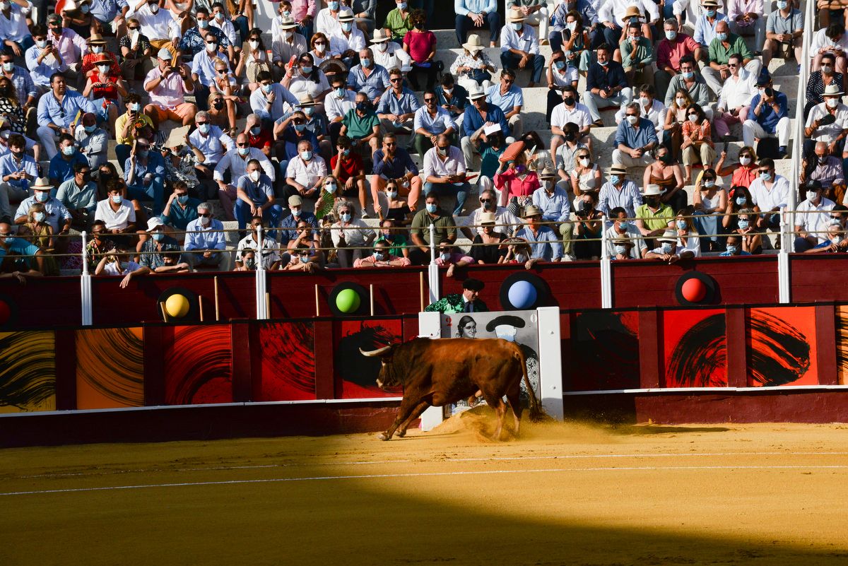 Los toros vuelven a La Malagueta