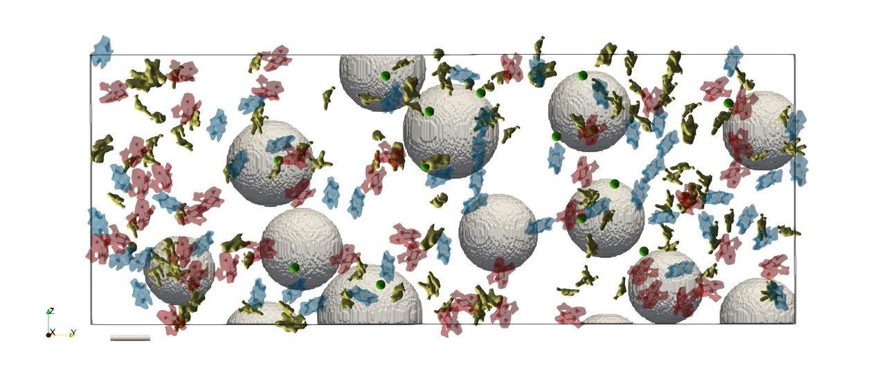 Imagen en 3D de las sinapsis neuronales