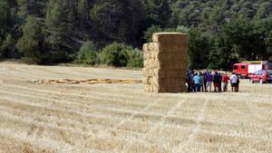 Detall de la tela del globus accidentat i del camp de blat on ha caigut.