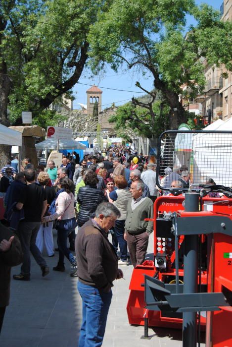 Segona jornada de la Fira de Sant Isidre a Solsona