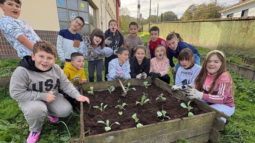Proyecto de huerto escolar en el CP Benedicto Bembibre Torre langreano