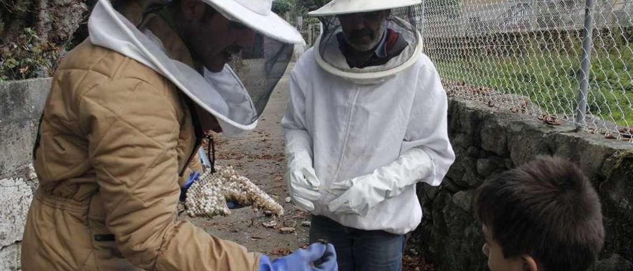 Unos apicultores muestra a un niño de Marín un ejemplar de avispa velutina, tras romper un nido. // S.A.