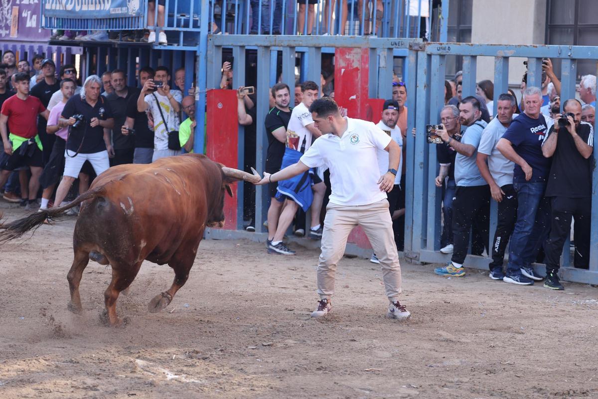 Fotogalería I Las imágenes de la tercera jornada de 'bou al carrer' de las fiestas de Sant Pasqual en Vila-real