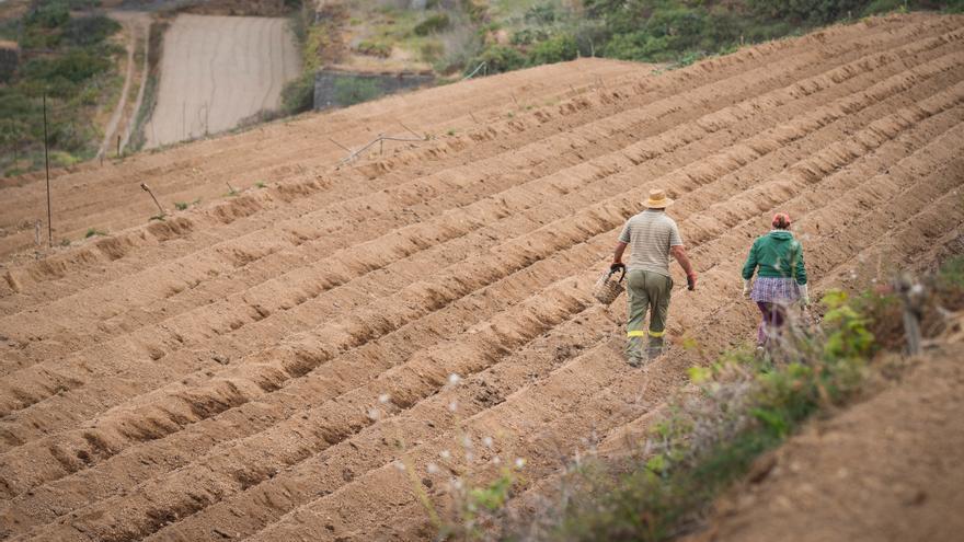 The field urges help in a “critical situation” due to the rise in production costs